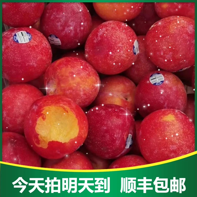 智利黄心李子500g±20g