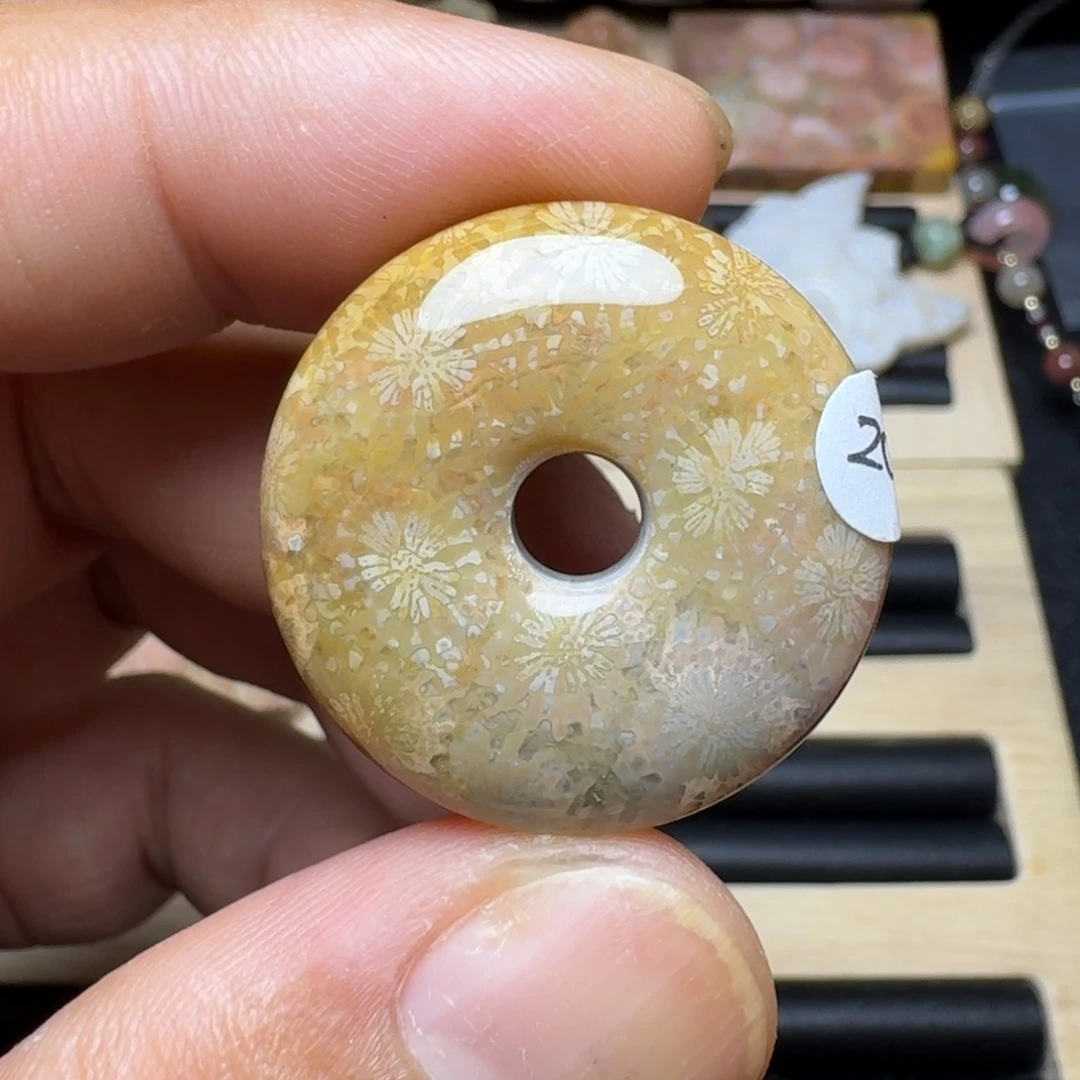 未镶嵌纯天然色有机玉石保真色硅化玉