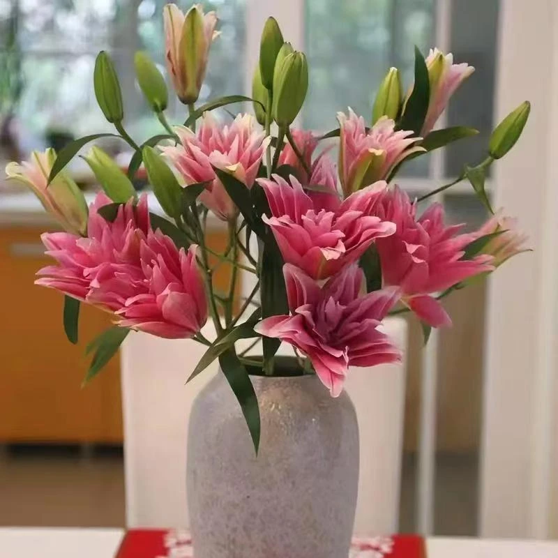 【艾琳娜】重瓣百合鲜花水养鲜切花室内插花桌面装饰优质