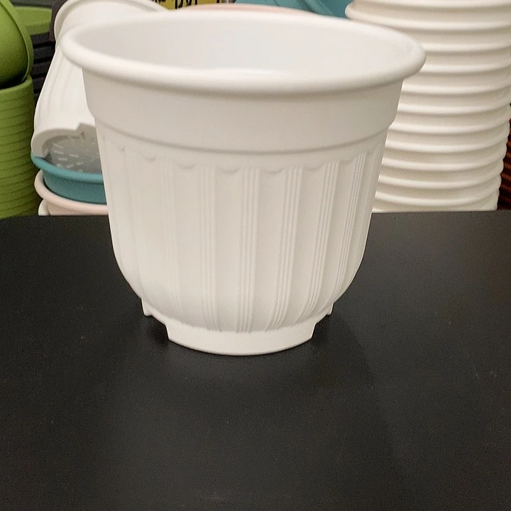 罗马口21高18白4个