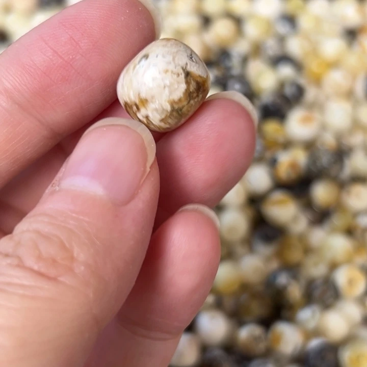 蜜蜡未镶嵌裸石13.7mm一个