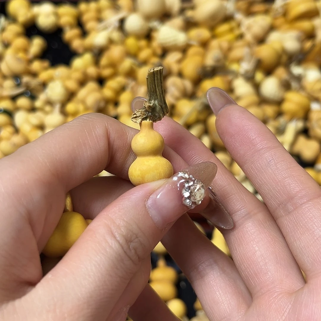 灰*.葫芦葫芦葫芦葫芦