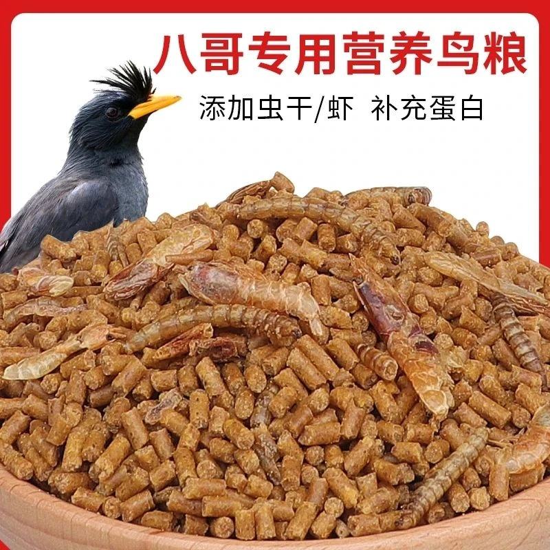 湖北头窝黑八幼崽专用饲料（下单前请看活物购买规则）