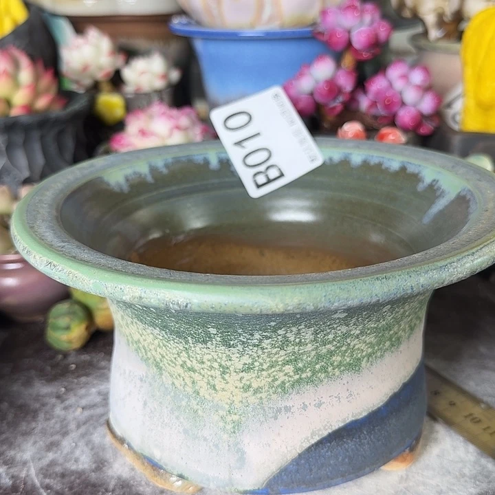 重庆小燕子欢迎大家010