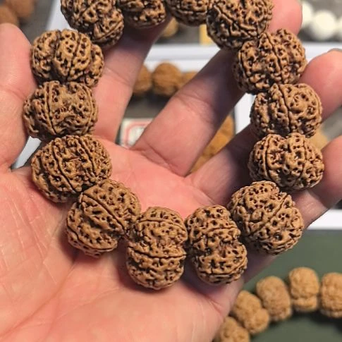 金刚菩提手串六瓣大金刚手串，原皮原色，规整度高，今年新籽
