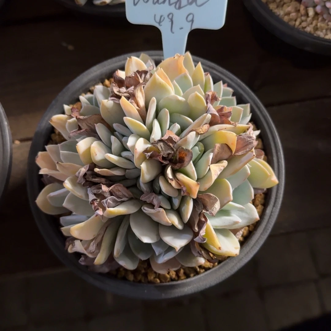 W***.11111111111111111111