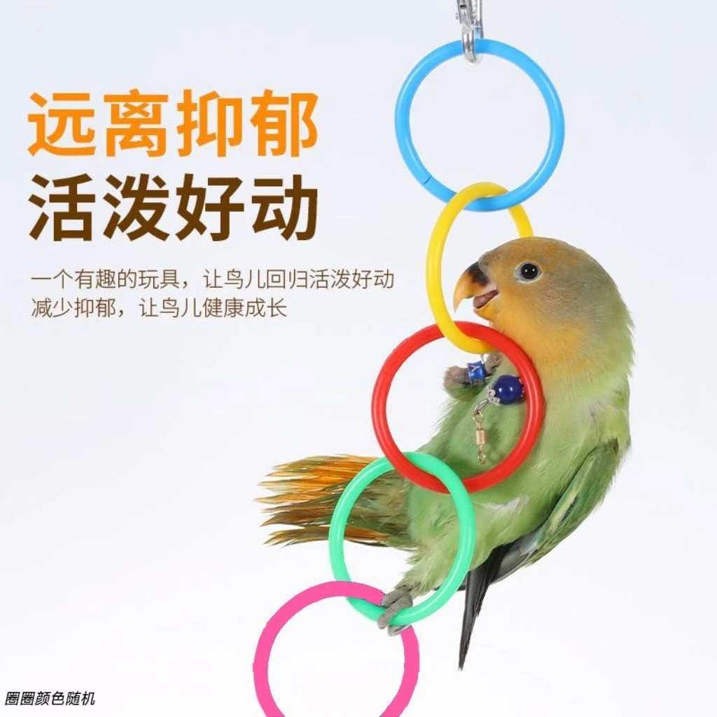 鹦鹉解闷玩具吊环攀爬玩耍啃咬攀爬牡丹玄凤鹦鹉用玩具用品大全