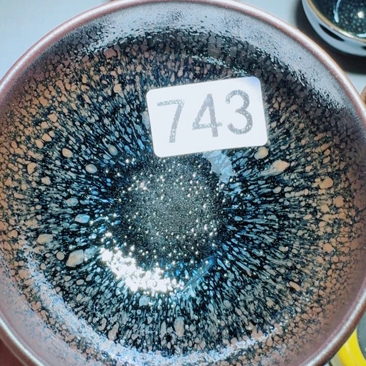 茶盏提出解决农村留守家庭就业