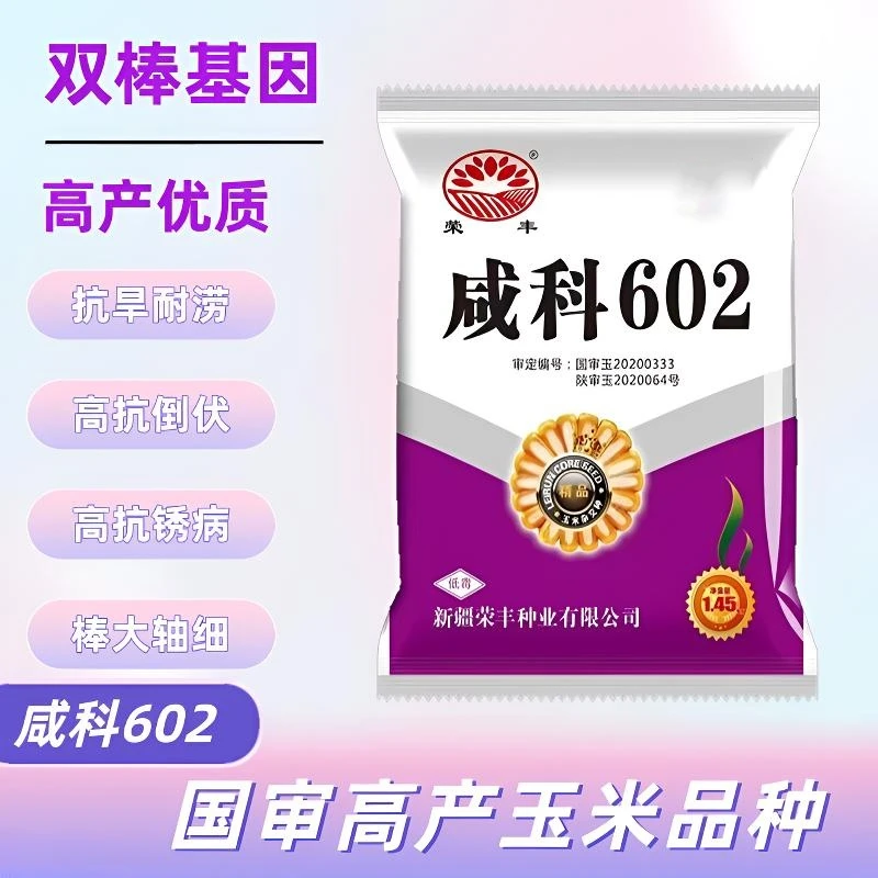 咸科602国审红轴大棒玉米种抗病抗虫矮杆抗倒伏高产