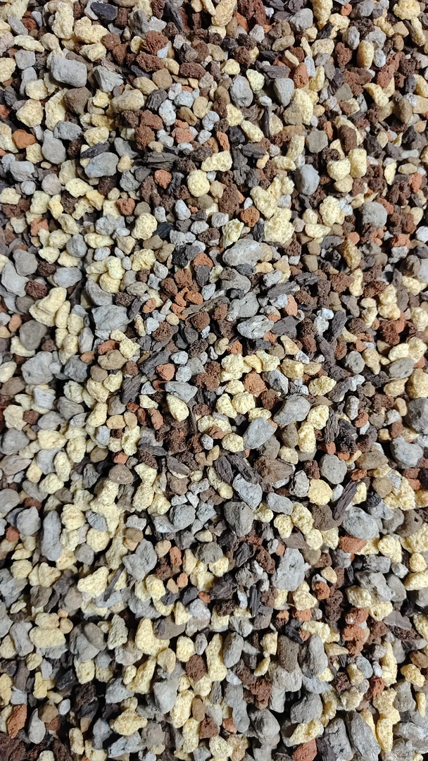龙舌兰仁王冠金牌泽土约6L。适合多种花卉盆栽使用