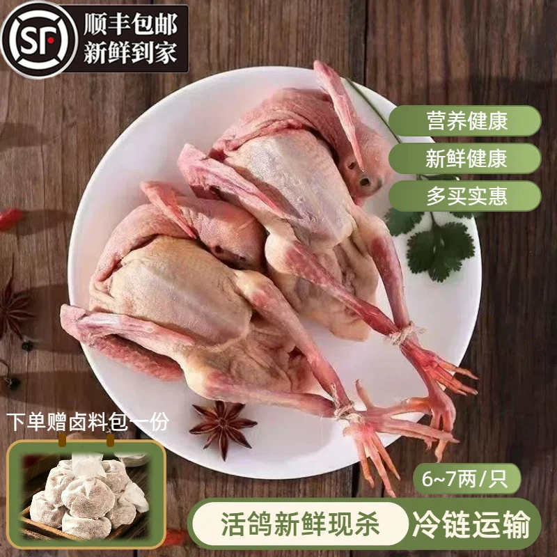 【3-5年】鸽子肉新鲜现杀土鸽子批发鸽子煲汤营养生鲜顺丰冷链