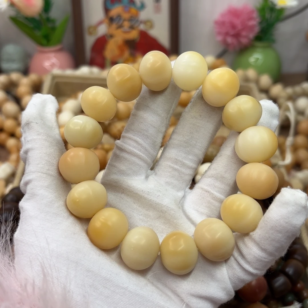 吊坠菩提根/象牙果18干磨瑕疵落地果鲨鱼背557