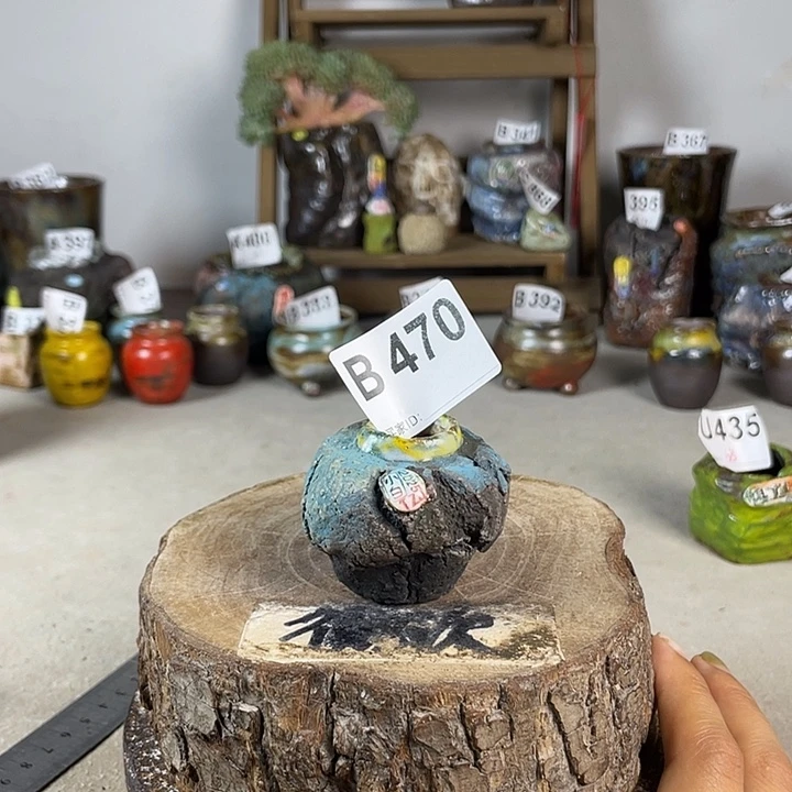 开播福利 陶瓷花盆 默认微次