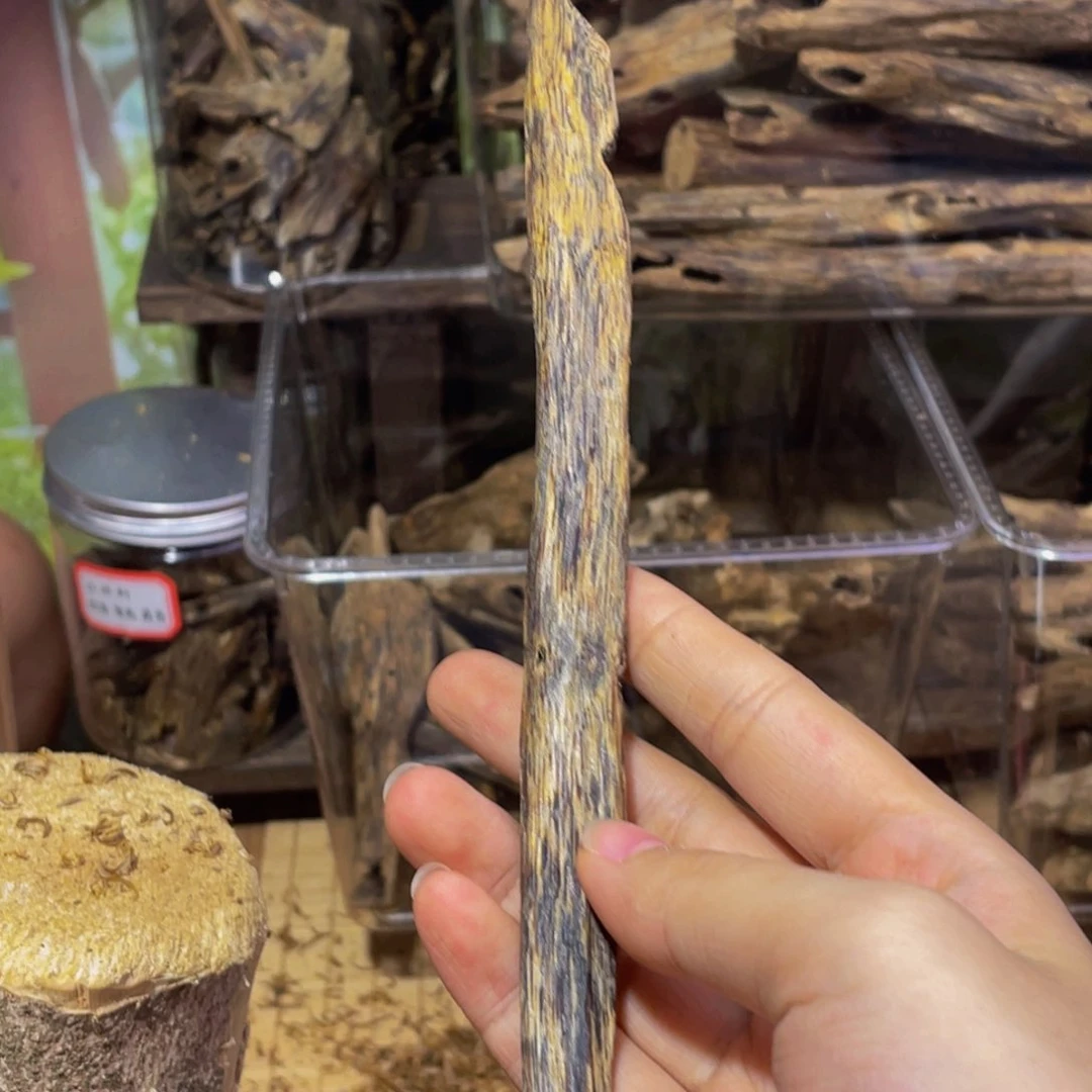 沉香碎屑沉香买****酥虫漏福利23