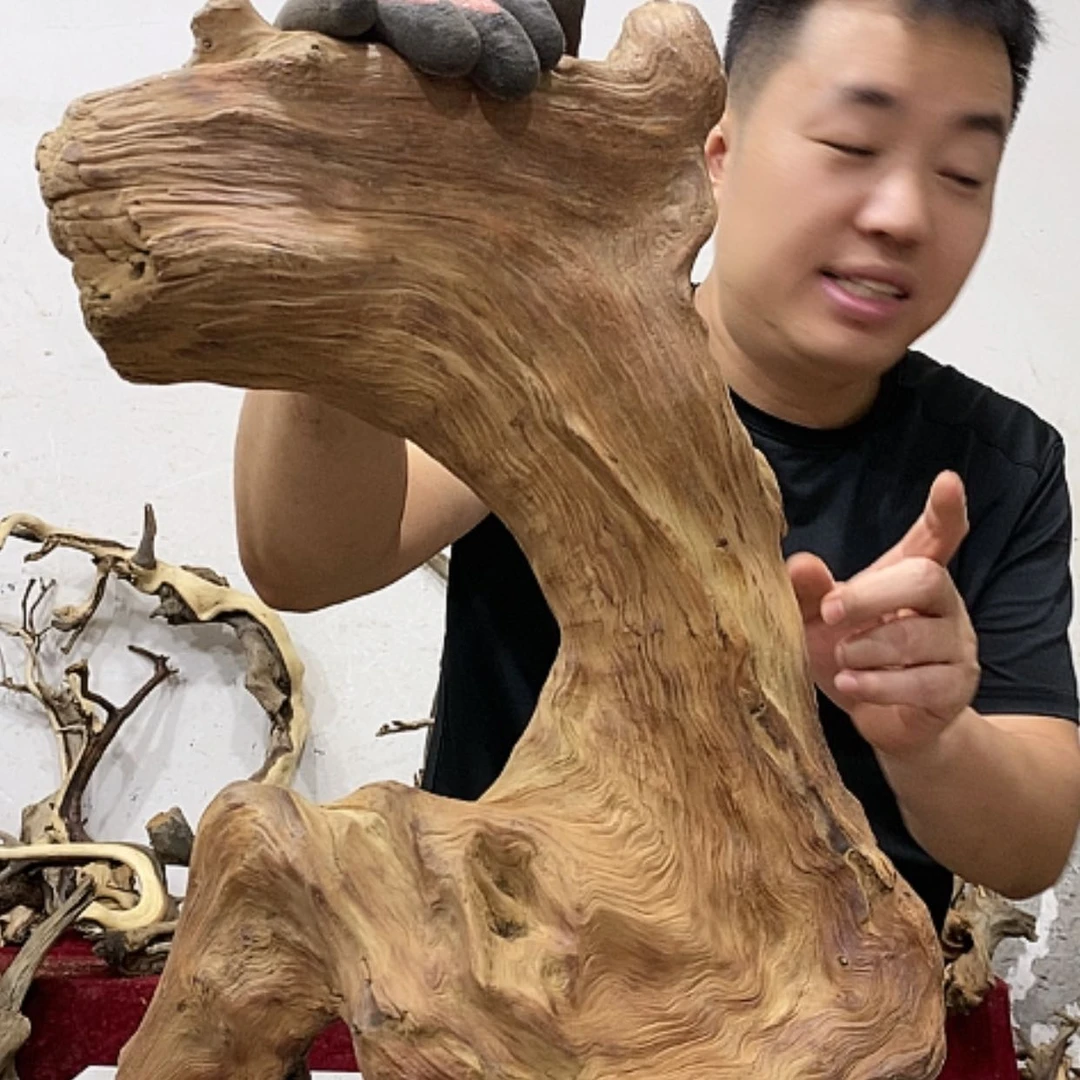 【闪购商品】柏木弘**艺我们都是好孩子