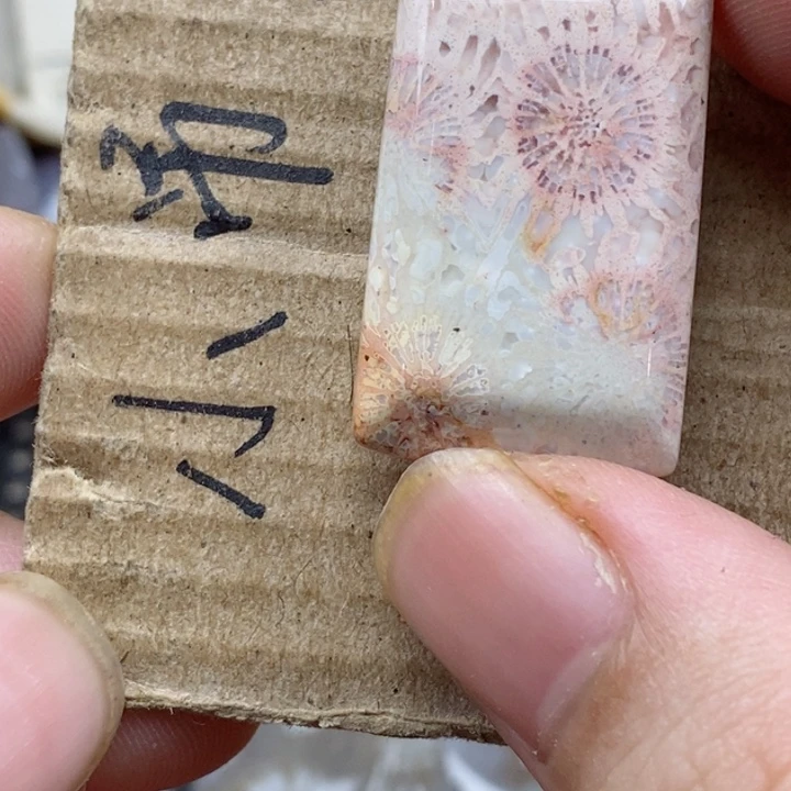 颈饰未镶嵌硅化珊瑚(珊瑚玉)春**明