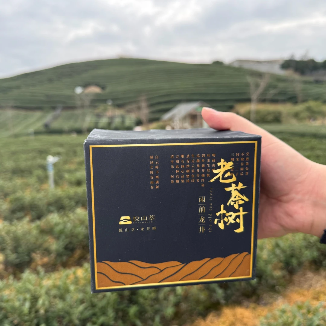 悦山萃 雨前龙井（250g）