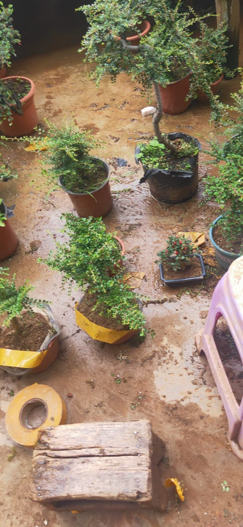 出售铁马边荀子忍东