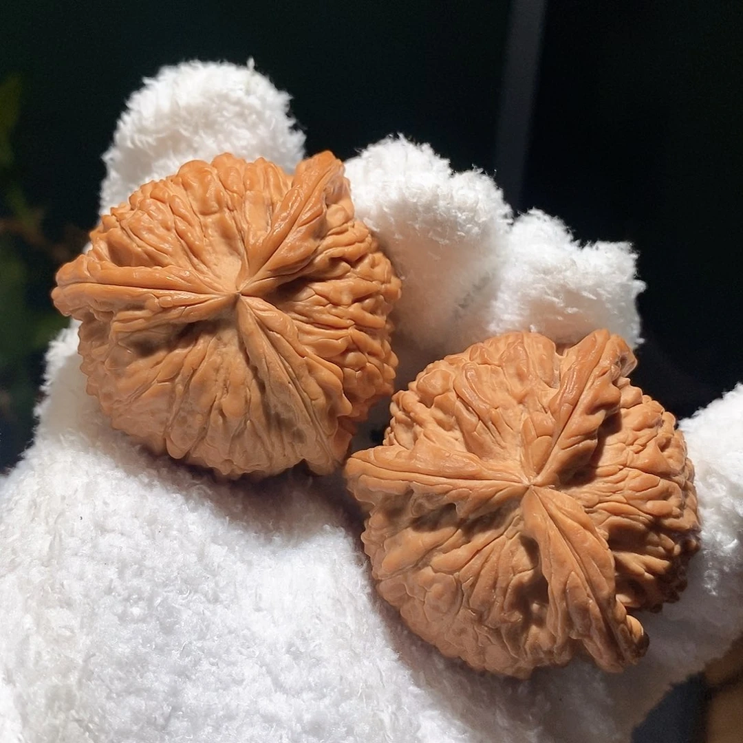 把件文玩核桃46白狮子球奔