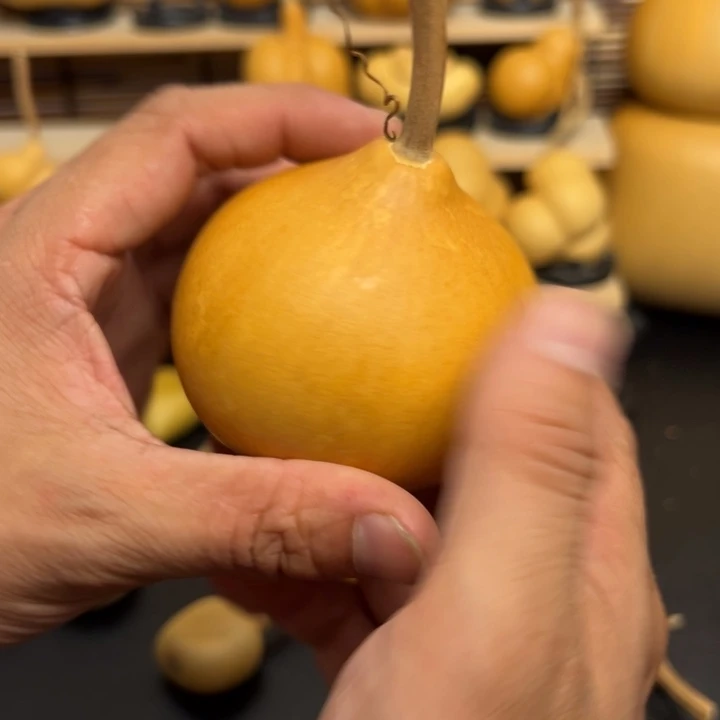 比****星125555665669669999