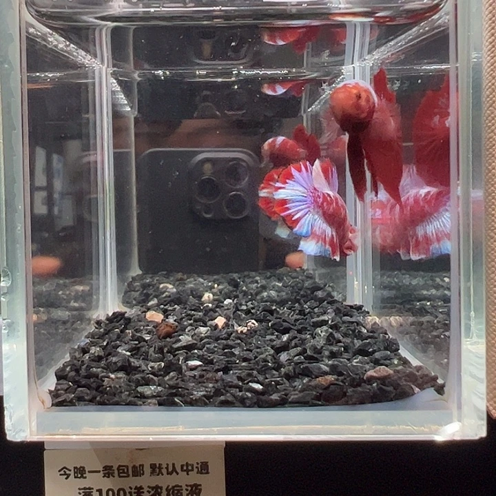 斗鱼竞拍跑单拉黑16日73+89