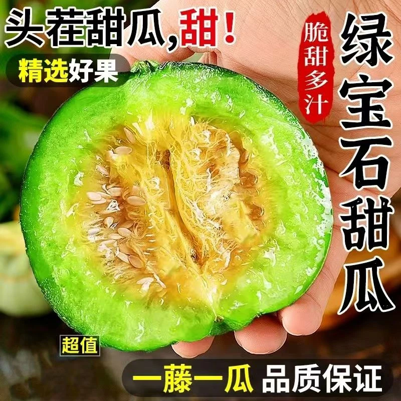 山东头茬甜瓜绿宝石脆甜可口新鲜多汁应季水果