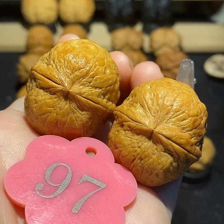 核桃储钱罐36核桃尺寸