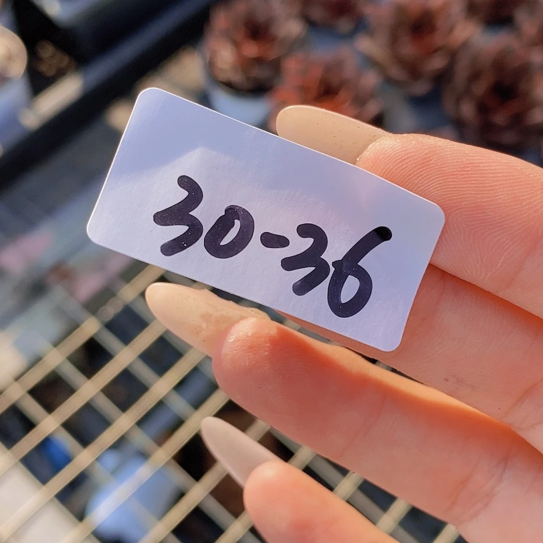 30-36- 微瑕胖香水大群福利一颗 量拍