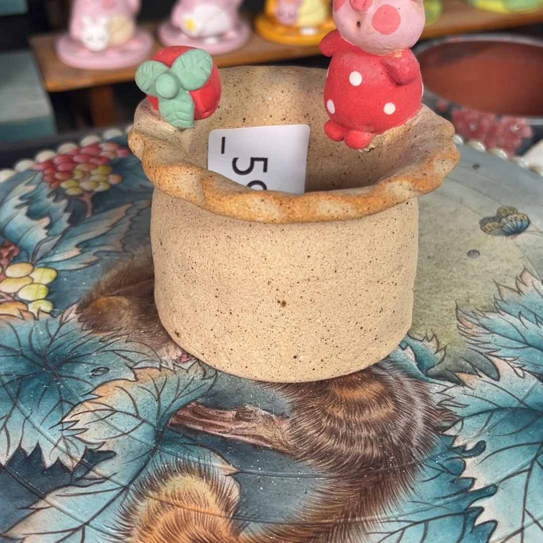 天****598多肉花盆40元1个