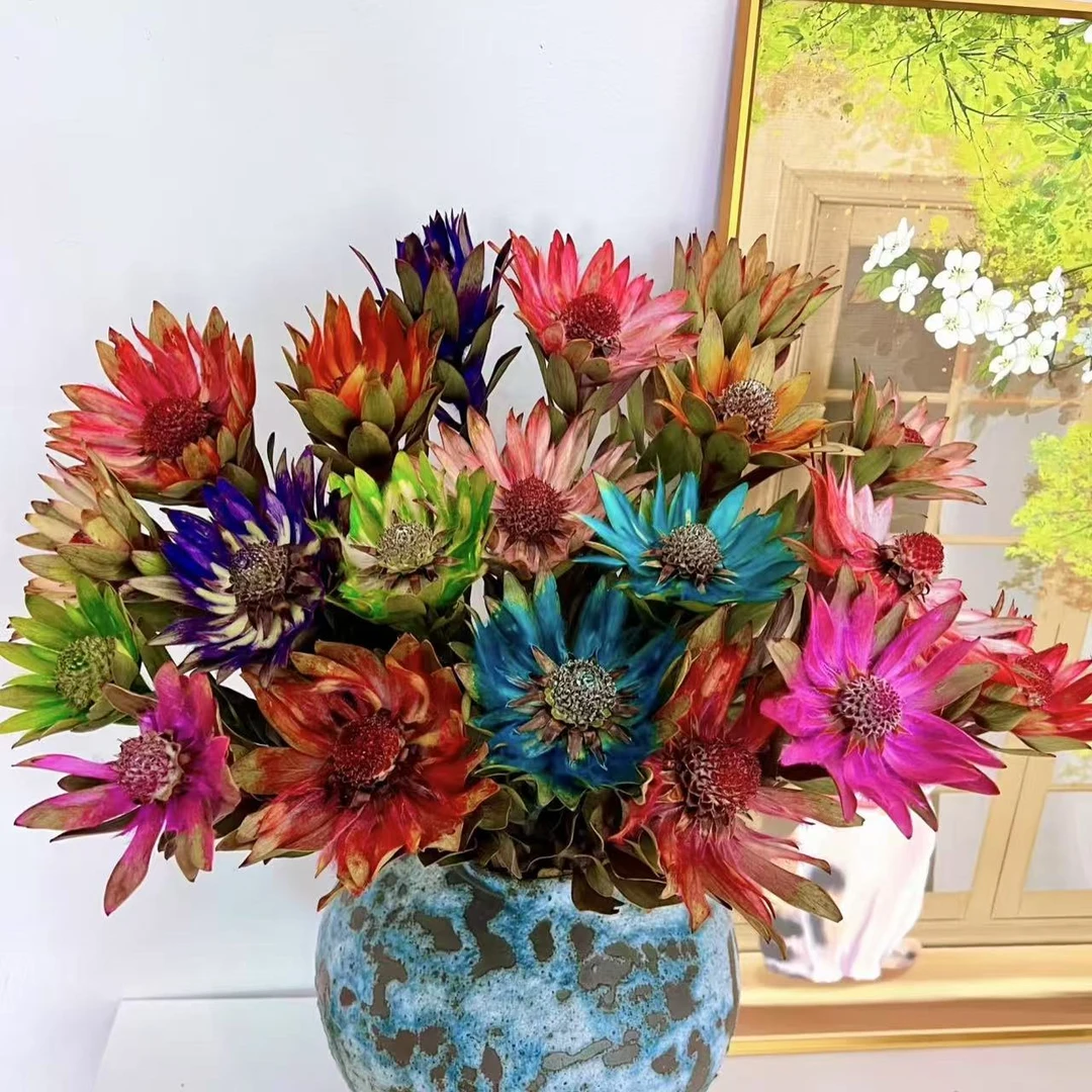 【思芹花卉|南非七彩木百合】高端小众花材，可做干花，顺丰空运包邮