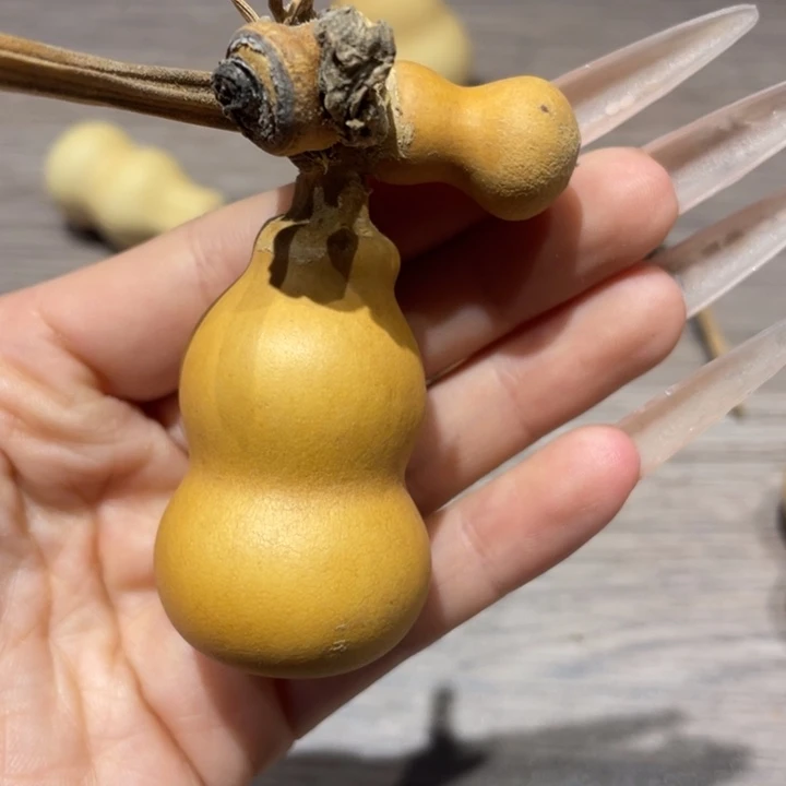 随***浪葫芦葫芦葫芦葫芦