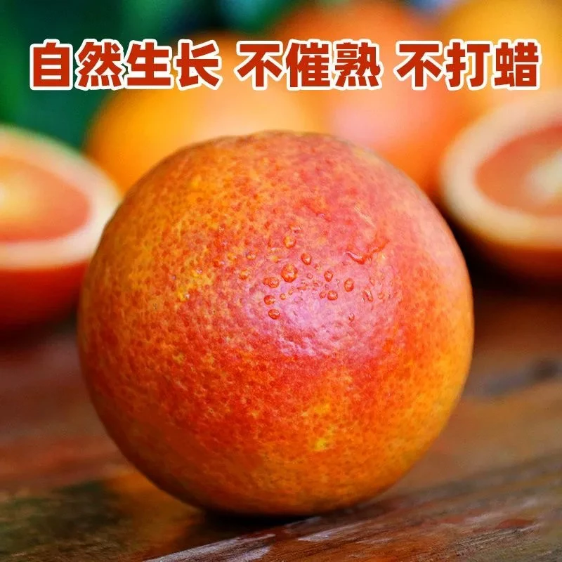 【坏果包赔】正宗四川资中塔罗科血橙应季新鲜果现采现发