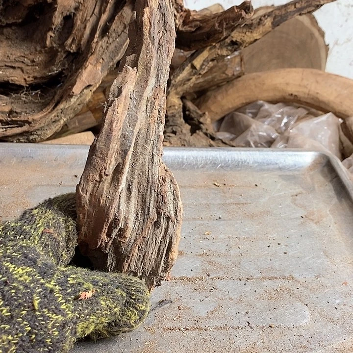 黄花梨/降香黄檀兰*痴