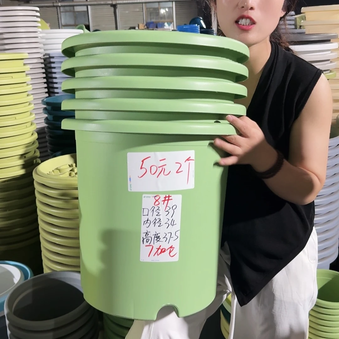 微瑕8#无拖新绿色5个