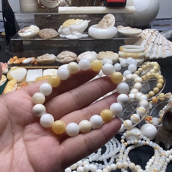 非金属贝壳多宝1.0单圈