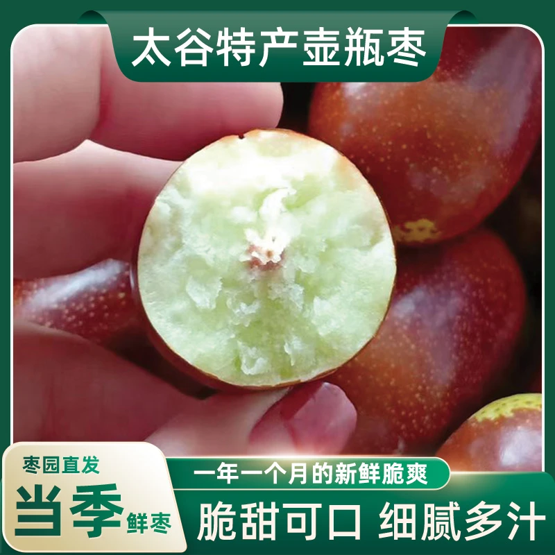 山西特产新鲜壶瓶枣脆甜大枣蒸枣长枣新鲜水果 当季太谷壶瓶枣