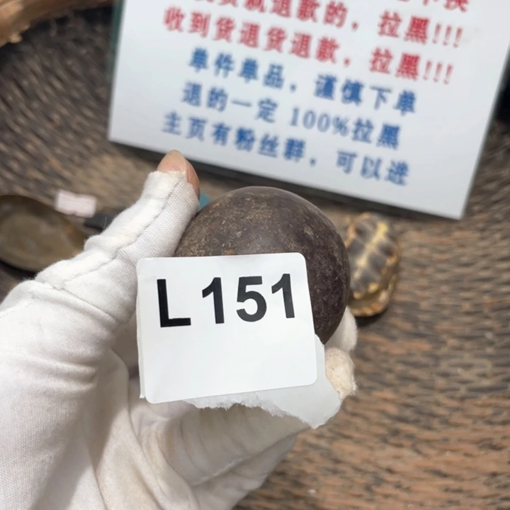 使***君火爆火爆火爆火爆