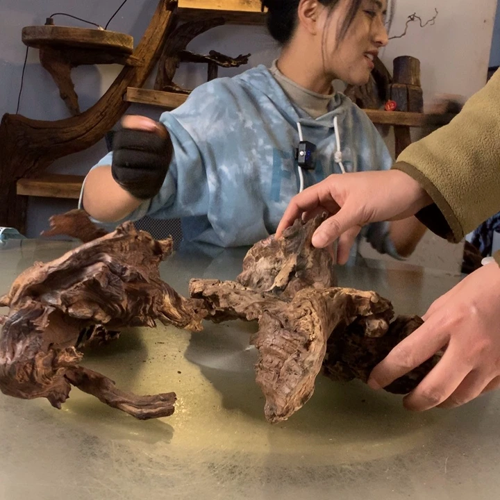 闲***适天然的云南紫柚木会黄水