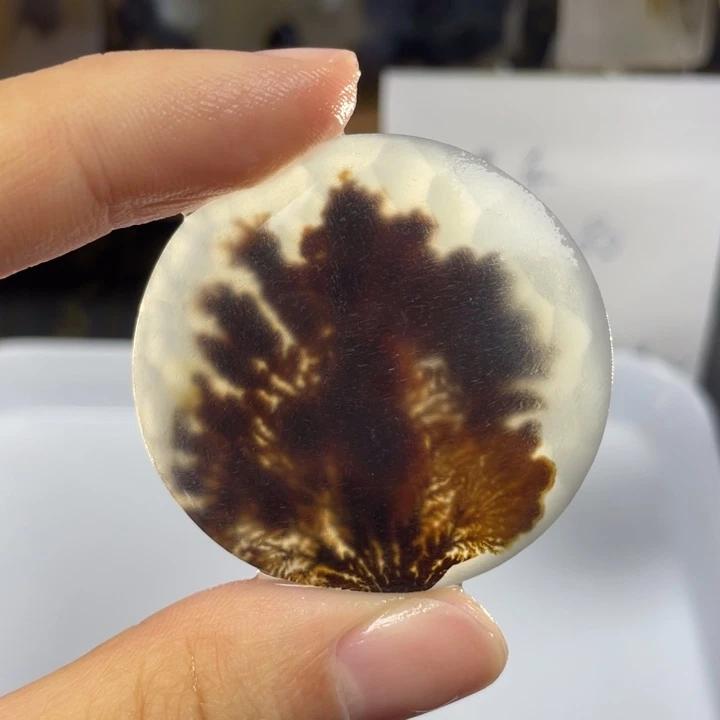 玛瑙/玉髓玛瑙象形未镶嵌