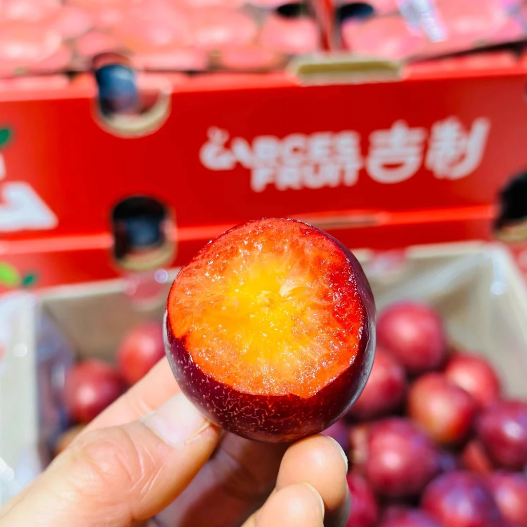 4J智利樱桃李一箱约5斤