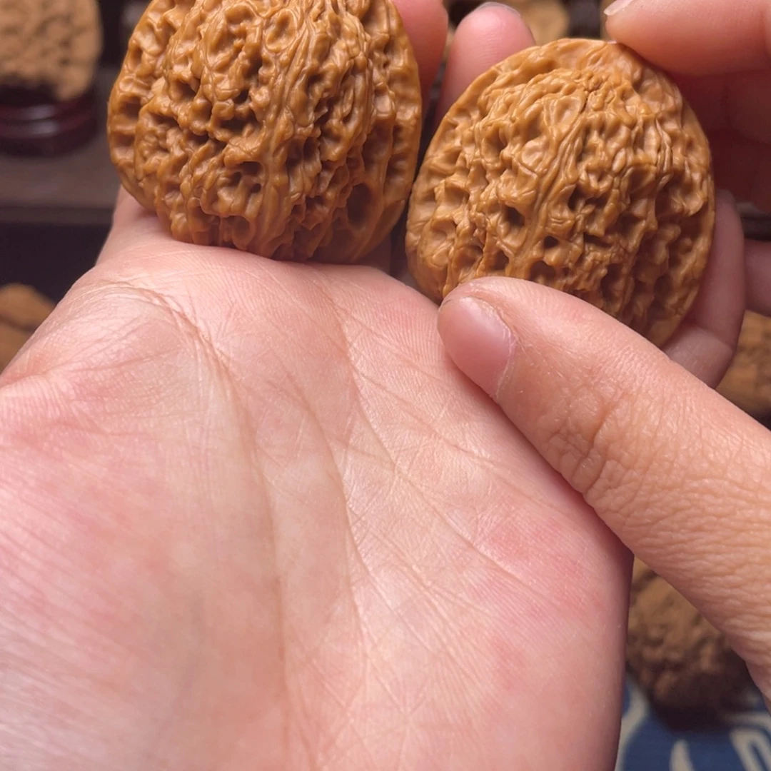 大叶紫檀（黑酸枝木类）