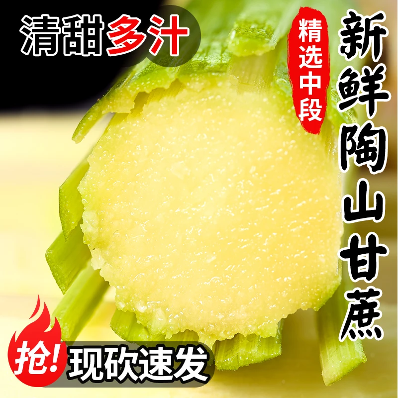 D顺丰包邮陶山甘蔗新鲜应季清甜多汁现砍现发产地直发水果甘蔗