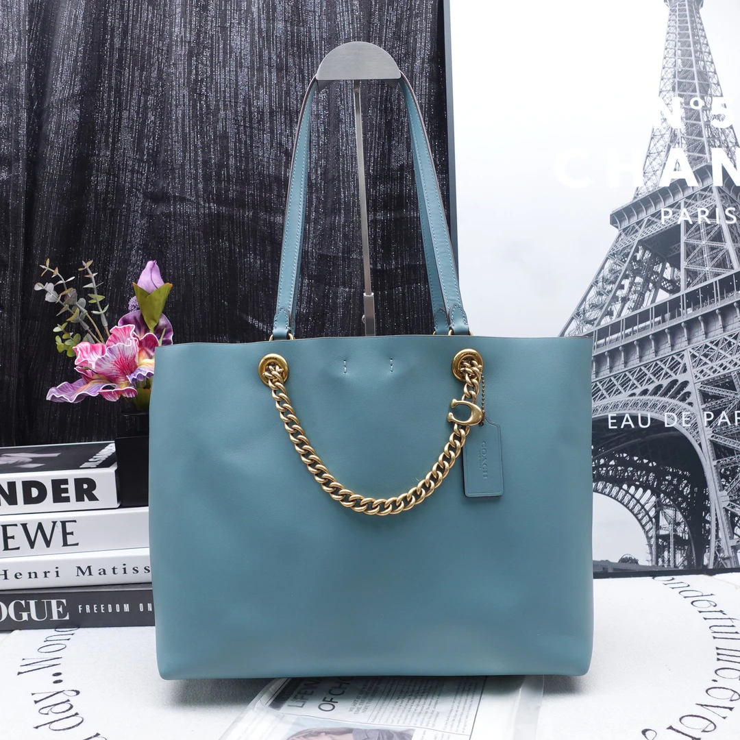 95新 COACH/蔻驰 单肩包/T10183177