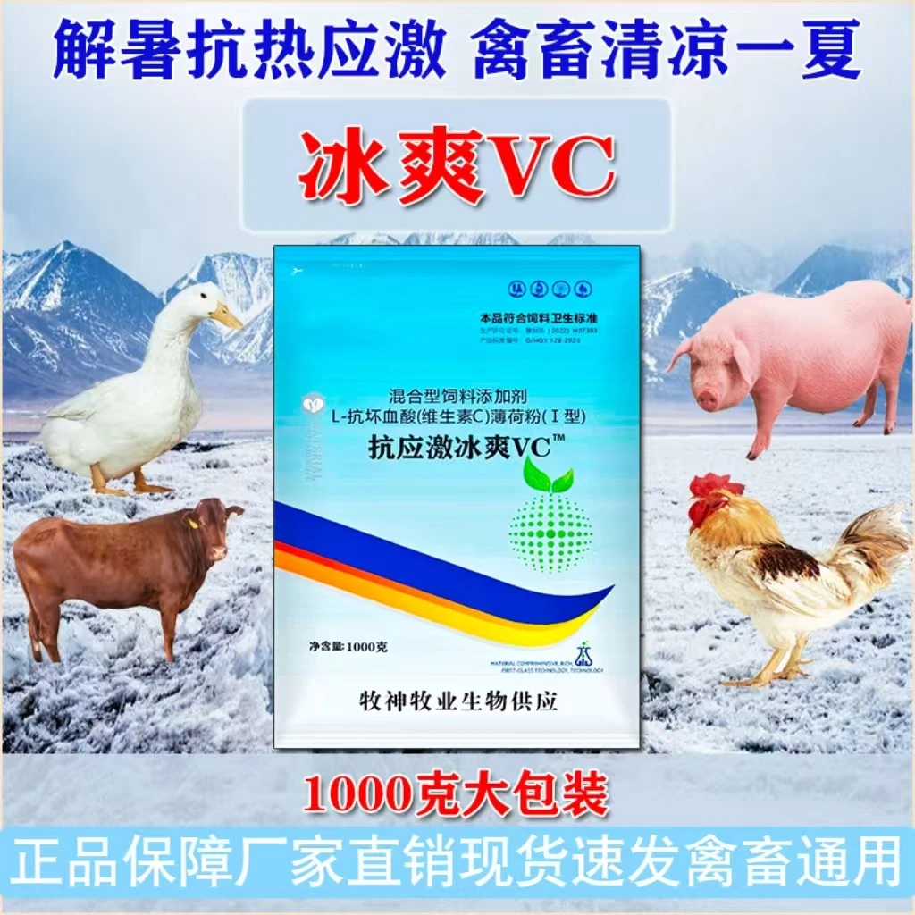 禽畜牧用冰爽一夏兽用冰爽VC清热解暑饲料添加剂牛羊猪用抗热应激