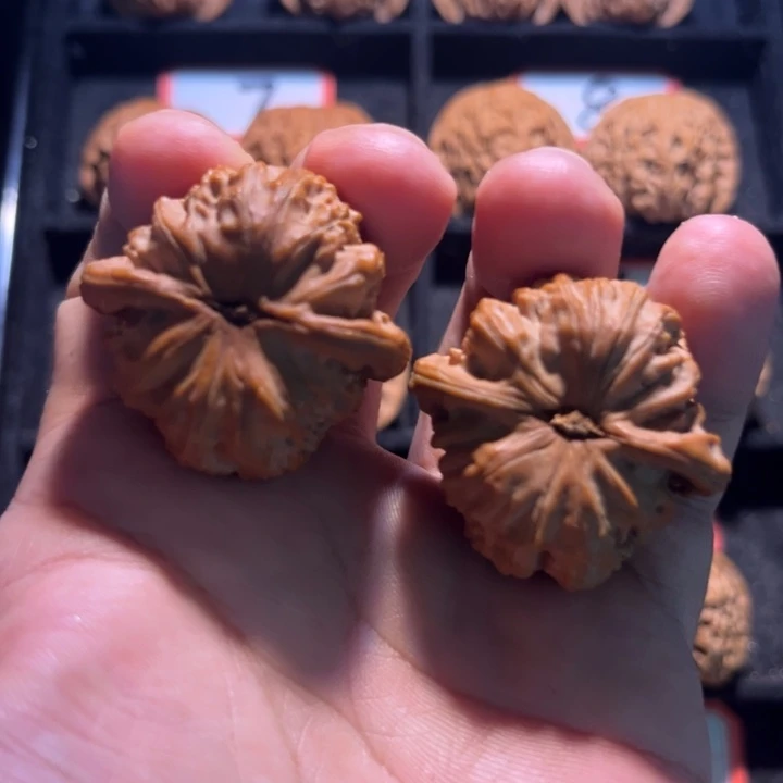 奔***肉桃核吊坠15秦皇岛山地果全品