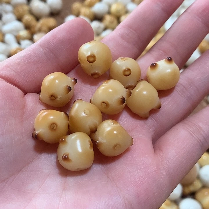 手串菩提根/象牙果菩提柯基屁屁炭烤14微瑕10颗