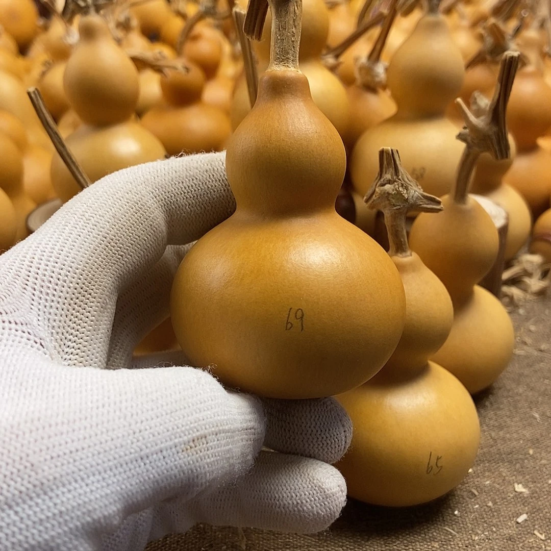 文玩葫芦 完美主义者 慎拍69