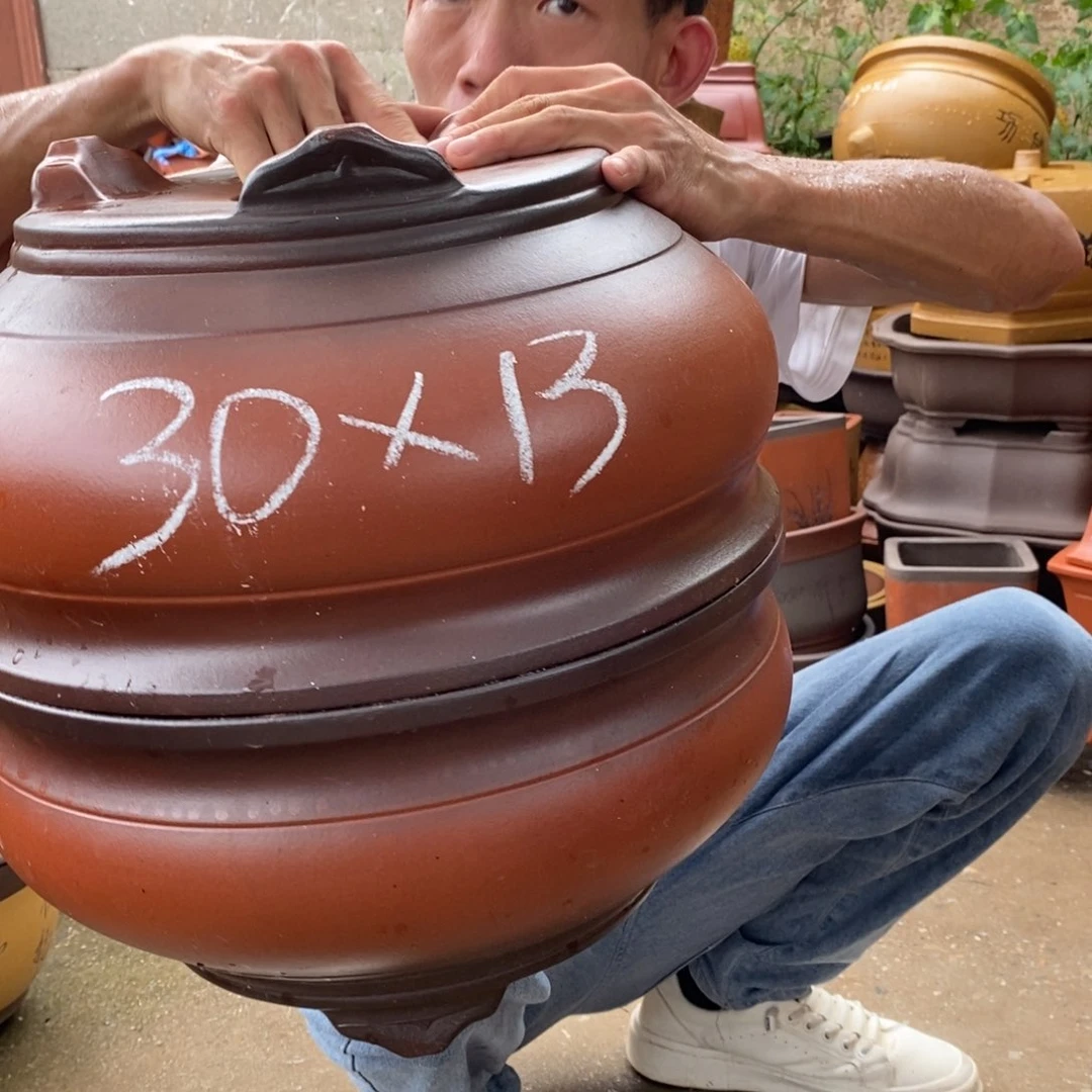 紫砂紫砂紫砂紫砂