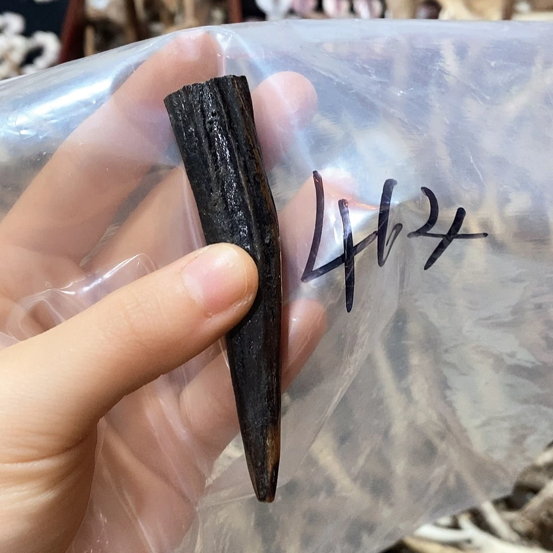 鹿角鹿角鹿角鹿鹿角