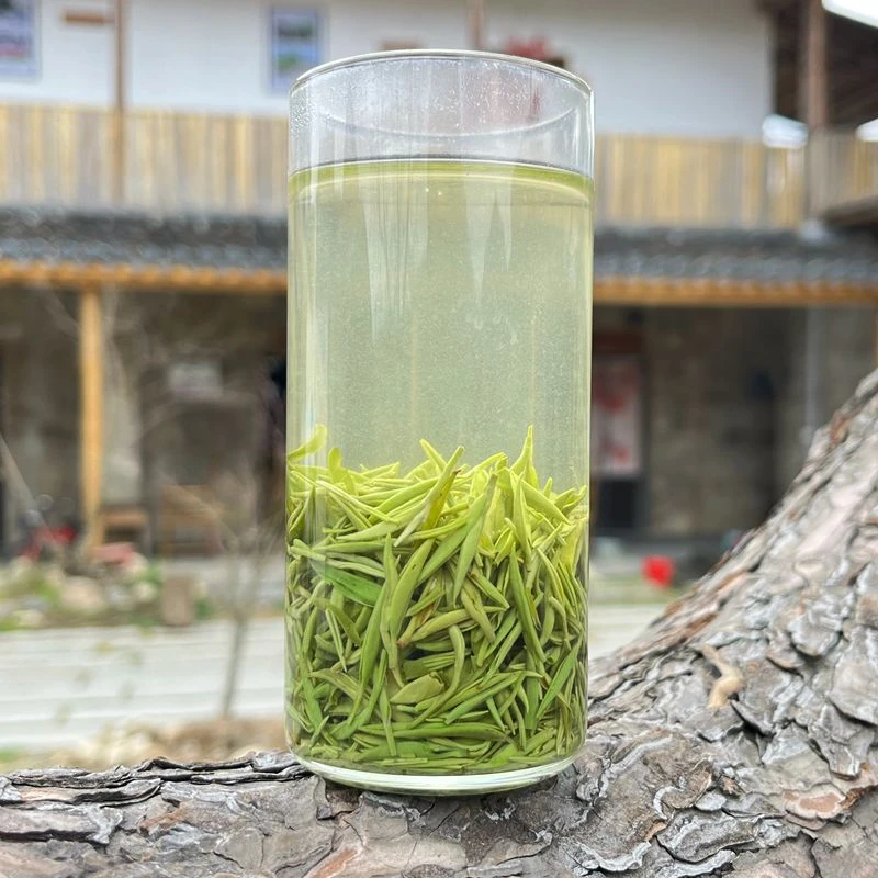 信阳毛尖2025明前头采春茶嫩芽尖茶叶炒青绿茶毛尖